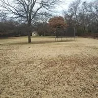 Affordable garden landscaping in Lewisville, TX - My City Farmers