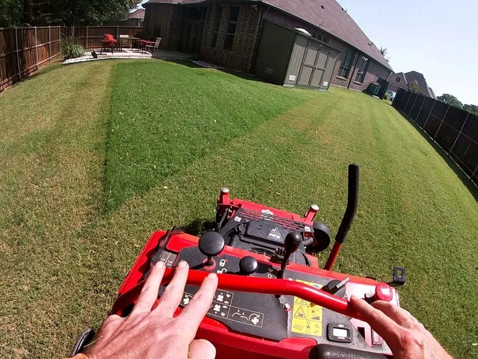 Affordable yard cleanup service in Lewisville, TX by My City Farmers