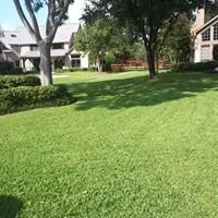 Affordable residential landscaping in Lewisville, TX by My City Farmers