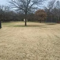 Reliable outdoor landscaping experts serving Lewisville, TX - My City Farmers