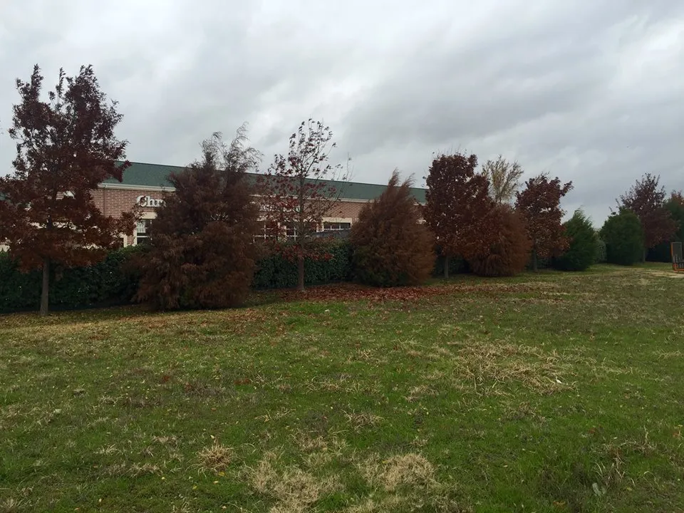 Reliable landscape design in Lewisville, TX - My City Farmers