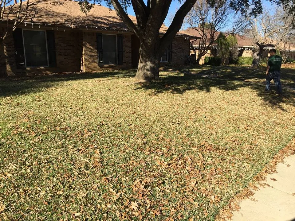 Local lawn mowing service experts serving Lewisville, TX - My City Farmers