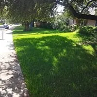 Top-rated yard cleanup service in Lewisville, TX - My City Farmers
