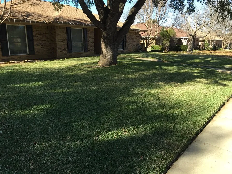 Custom garden landscaping in Lewisville, TX - My City Farmers