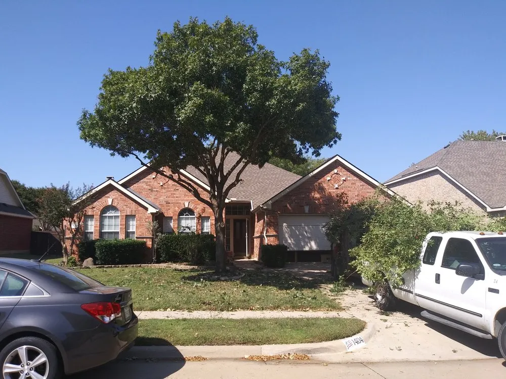 Expert lawn care service in Lewisville, TX by My City Farmers