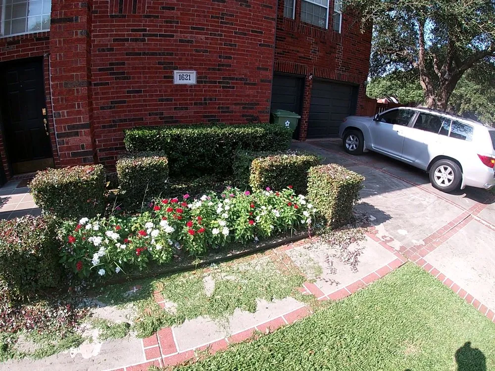 Trusted yard cleanup service experts serving Lewisville, TX - My City Farmers