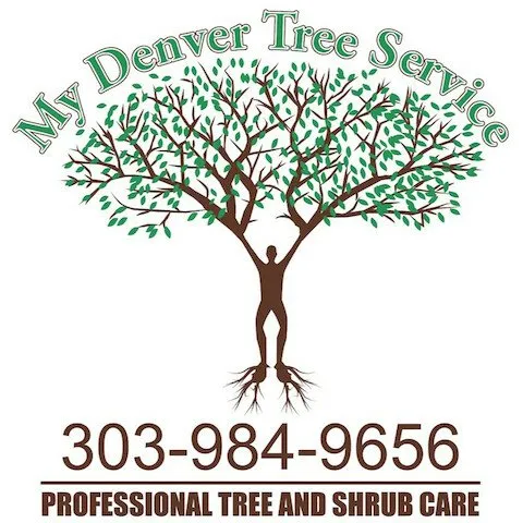 Local lawn mowing service experts serving Denver, CO - My Denver Tree Service
