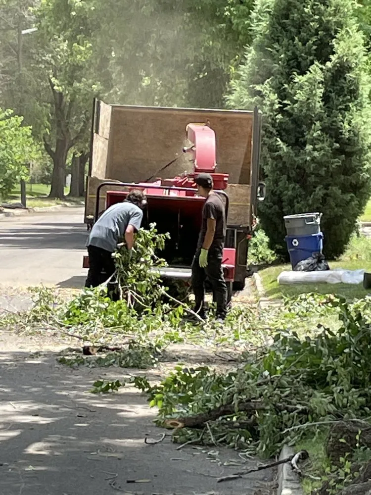 Expert landscape design in Denver, CO - My Denver Tree Service