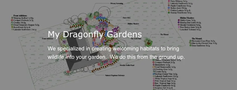 Reliable landscape design near you across Minneola, FL - My Dragonfly Gardens