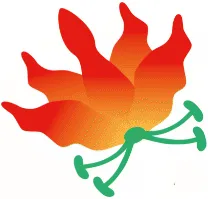 Reliable lawn mowing service in Minneola, FL - My Dragonfly Gardens