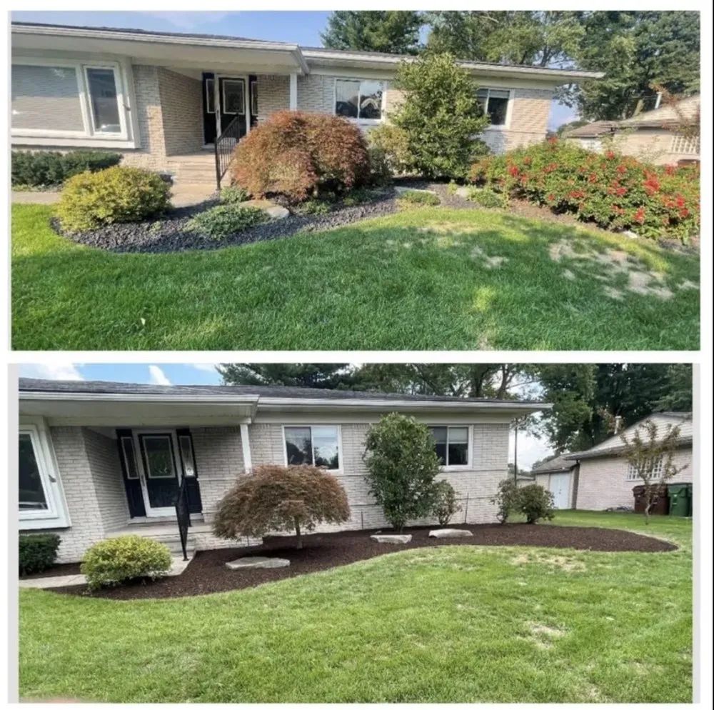 Expert lawn mowing service in Roseville, MI by My Dream Landscape and Lawncare