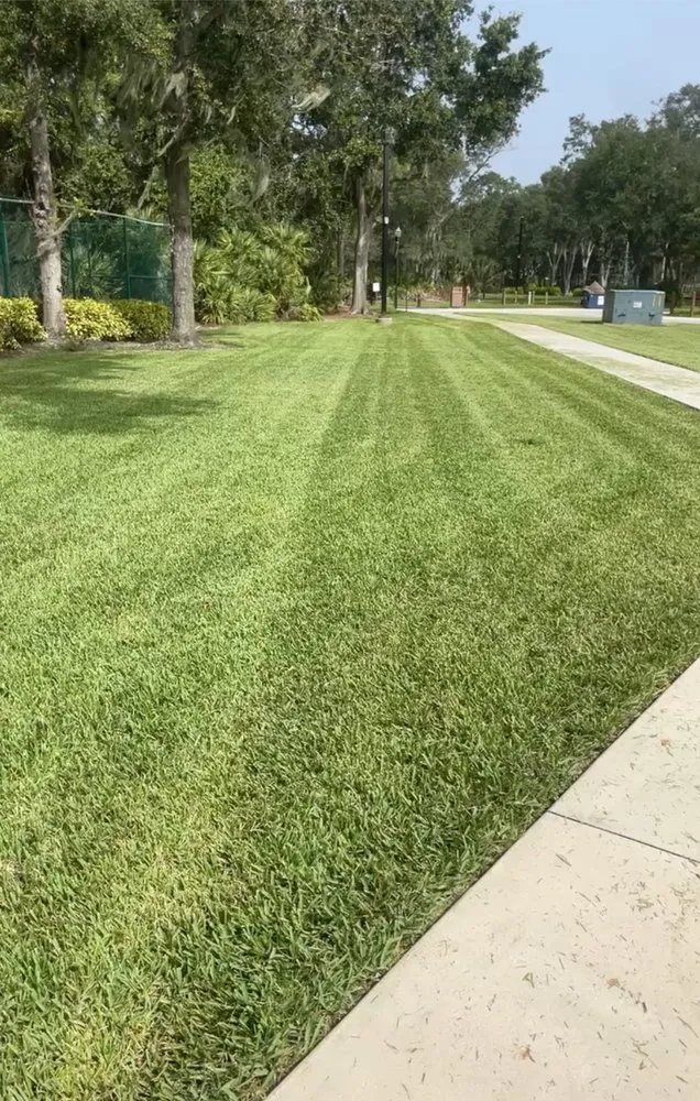 Reliable landscaping services in Port Richey, FL by My Easy Landscaping