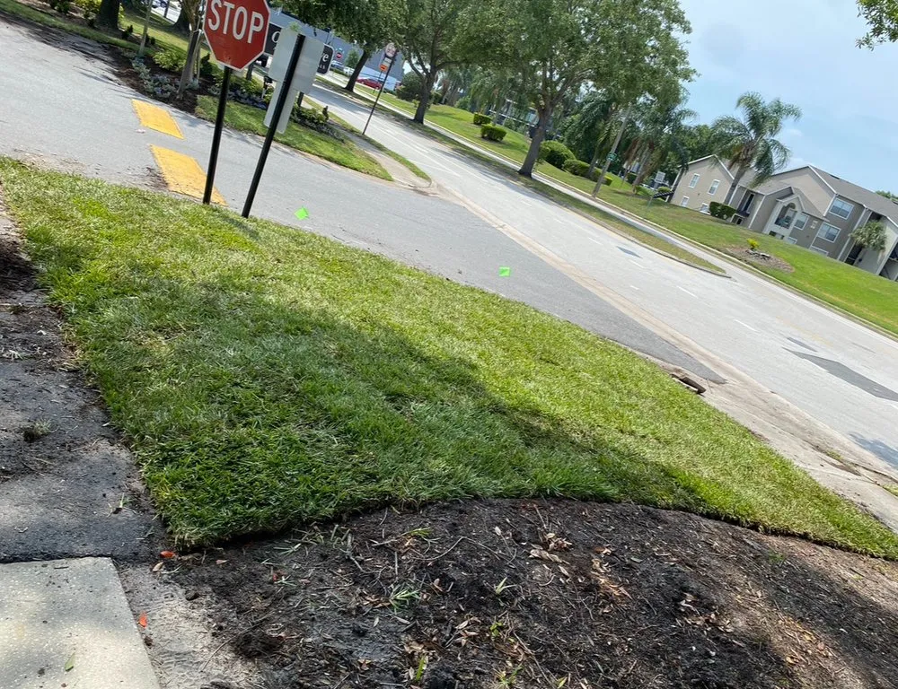 Expert residential landscaping for outdoor upgrades in Port Richey, FL by My Easy Landscaping