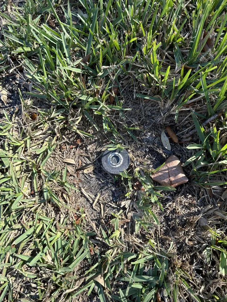 Custom residential landscaping in Port Richey, FL - My Easy Landscaping