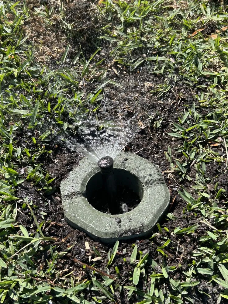 Local landscape installation in Port Richey, FL - My Easy Landscaping