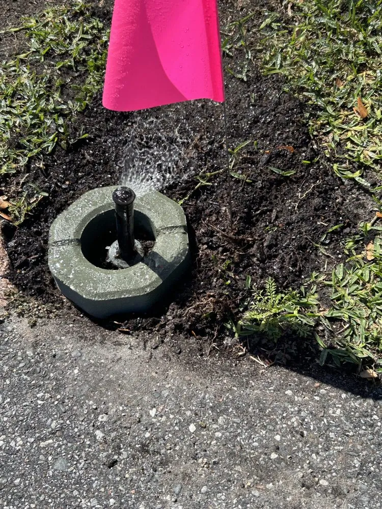 Local landscape design experts serving Port Richey, FL - My Easy Landscaping