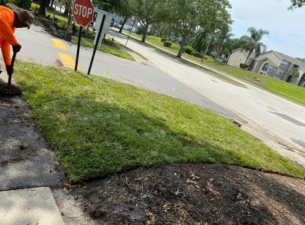 Top-rated yard cleanup service in Port Richey, FL by My Easy Landscaping