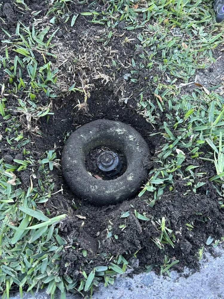 Custom yard cleanup service for year-round maintenance across Port Richey, FL - My Easy Landscaping