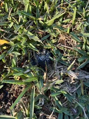 My Easy Landscaping Logo