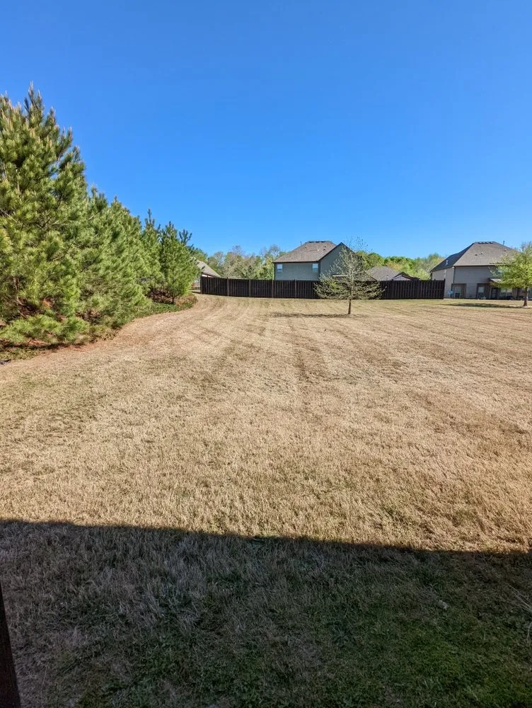 Custom lawn mowing service in Oxford, GA - My Escape Landscaping