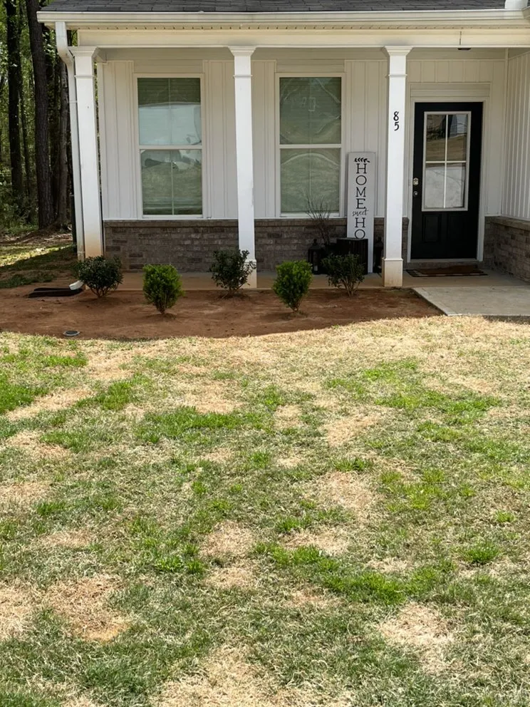 Expert yard cleanup service in Oxford, GA by My Escape Landscaping