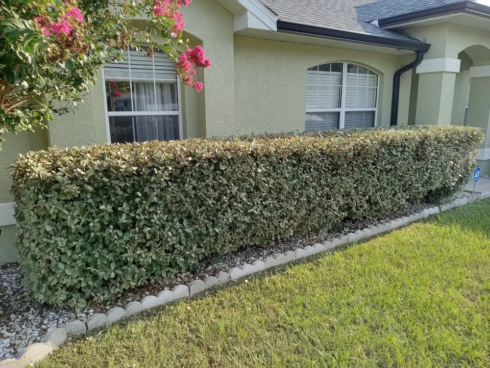 Custom garden landscaping near you across Ocala, FL - My Family Landscaping