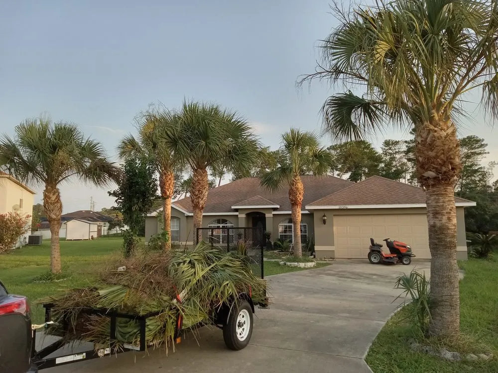 Professional outdoor landscaping in Ocala, FL - My Family Landscaping