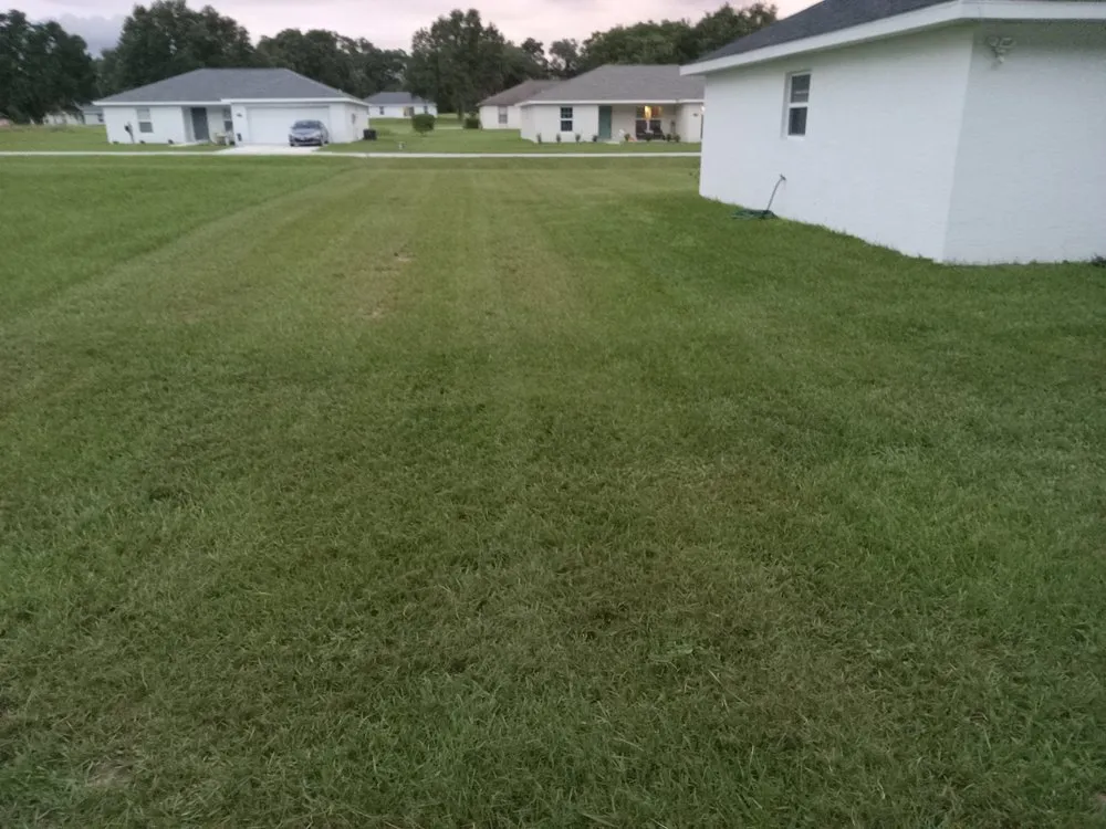 Trusted landscape installation experts serving Ocala, FL - My Family Landscaping