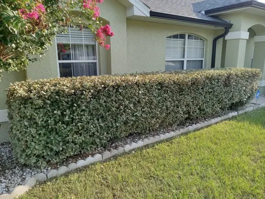 My Family Landscaping Logo