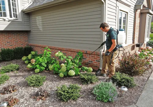 Local lawn mowing service in Plymouth, MI - My Fertilizing Company