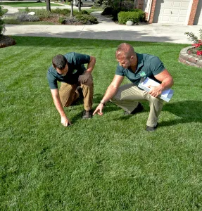 Trusted lawn care service for homes in Plymouth, MI by My Fertilizing Company