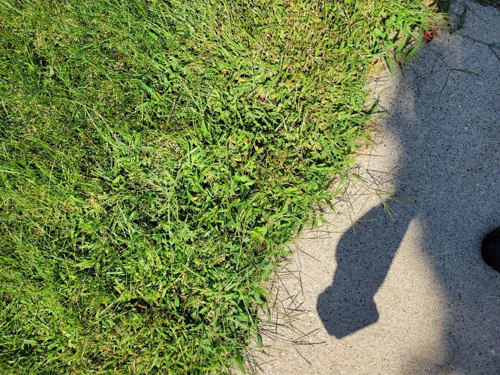 Top-rated garden landscaping in Plymouth, MI - My Fertilizing Company