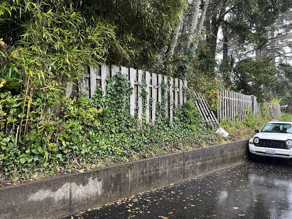 Affordable yard maintenance in Newport, OR - My Friend Benito Garcia Services