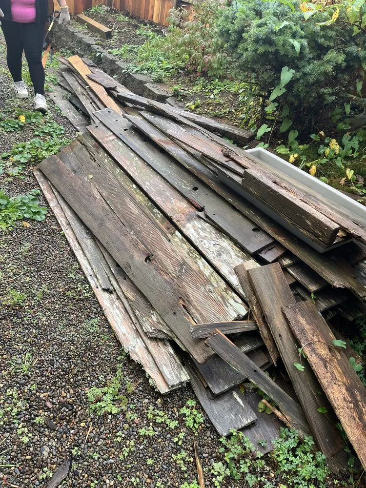 Professional yard maintenance for beautiful yards across Newport, OR - My Friend Benito Garcia Services