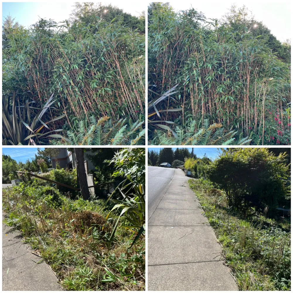 Expert lawn mowing service for residential properties across Newport, OR - My Friend Benito Garcia Services