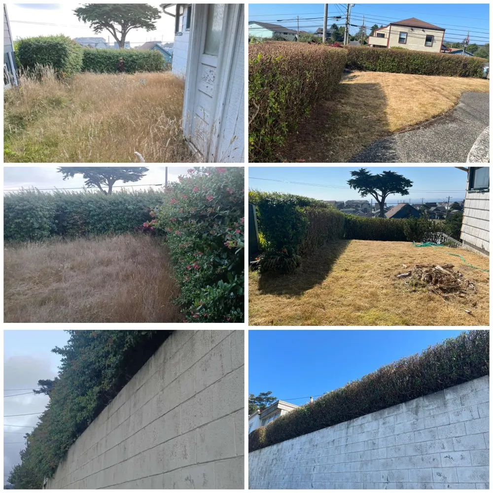 Trusted landscaping services near you across Newport, OR - My Friend Benito Garcia Services