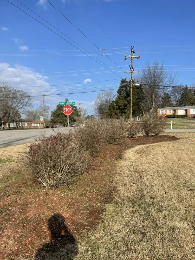 Top-rated residential landscaping experts serving Nashville, TN - My Friend Landscaping