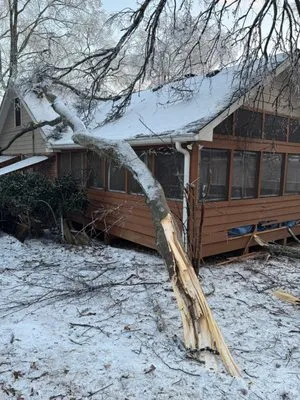 My Friend Landscaping