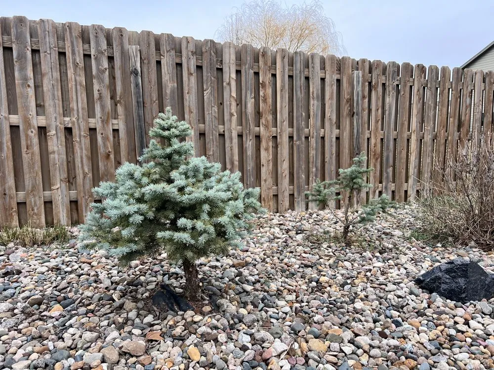 Reliable residential landscaping for beautiful yards across West Des Moines, IA - My Fruit Care