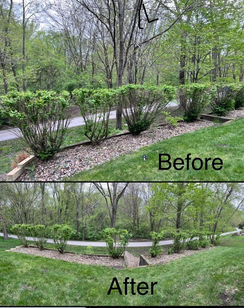 Expert outdoor landscaping with custom design in West Des Moines, IA by My Fruit Care