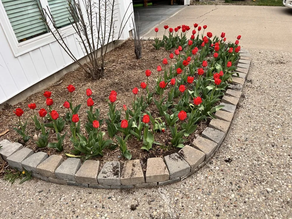 Top-rated landscaping services for outdoor upgrades in West Des Moines, IA by My Fruit Care