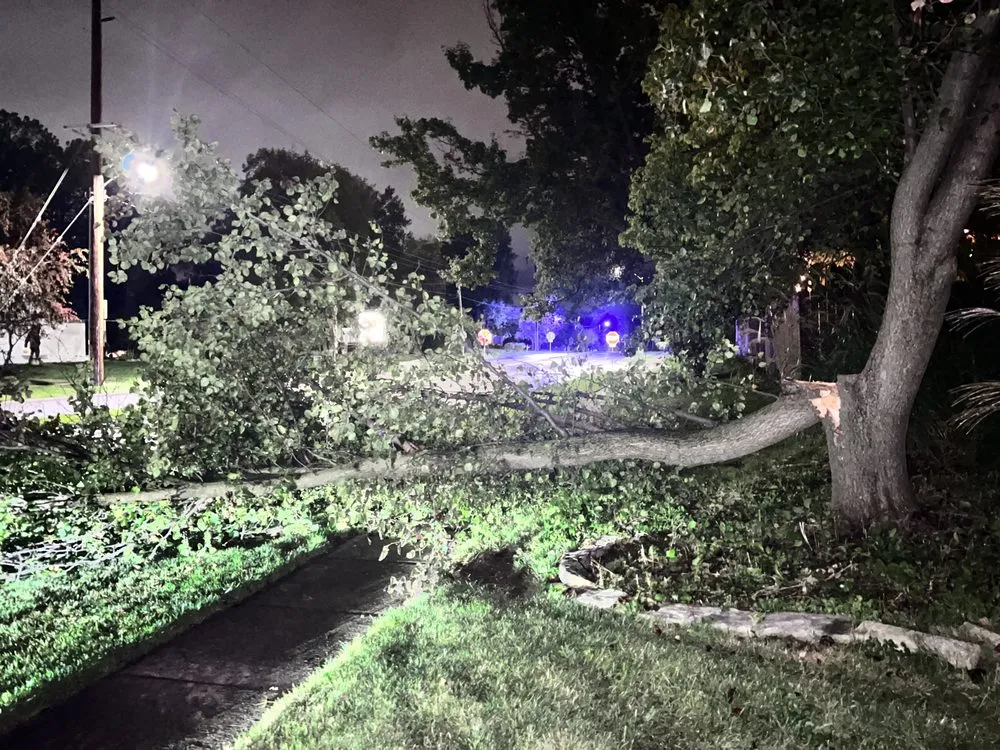 Local landscape design for homes in West Des Moines, IA by My Fruit Care