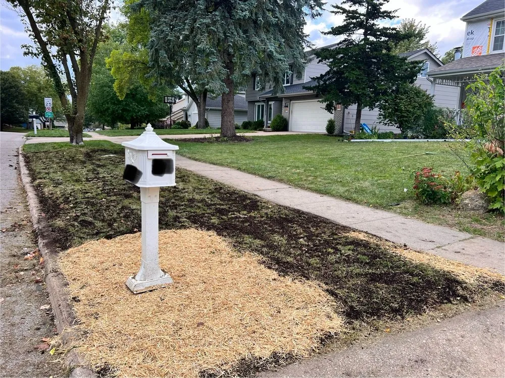 Local yard cleanup service experts serving West Des Moines, IA - My Fruit Care