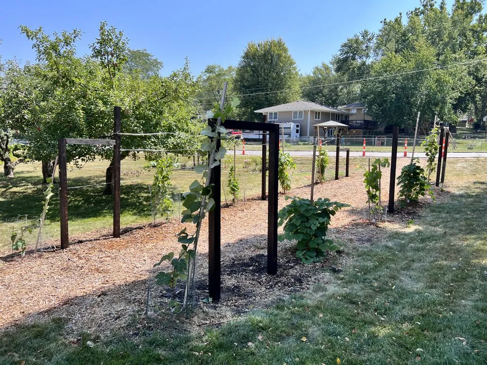 Affordable residential landscaping experts serving West Des Moines, IA - My Fruit Care