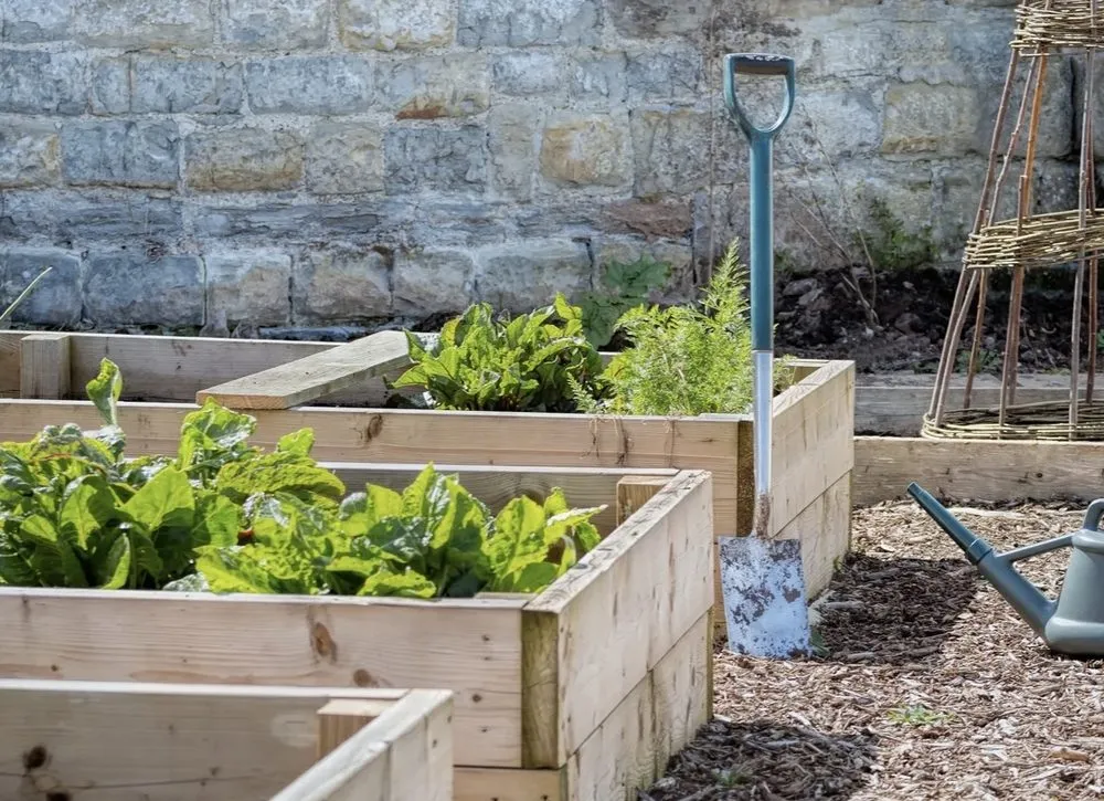 Custom residential landscaping experts serving West Des Moines, IA - My Fruit Care