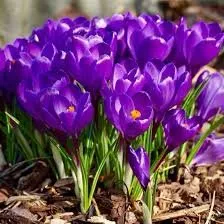 Expert yard maintenance in Herndon, VA by My garden concepts