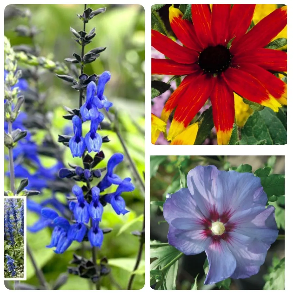 Top-rated landscape installation in Herndon, VA - My garden concepts