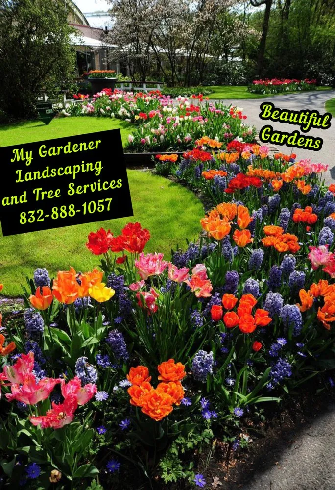 Affordable outdoor landscaping in Katy, TX by My Gardener Landscaping and Tree Services