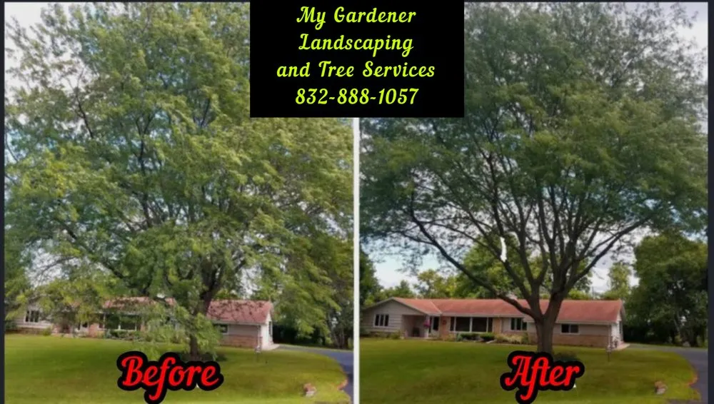 Top-rated yard cleanup service for year-round maintenance in Katy, TX by My Gardener Landscaping and Tree Services
