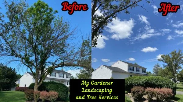 My Gardener Landscaping and Tree Services Logo